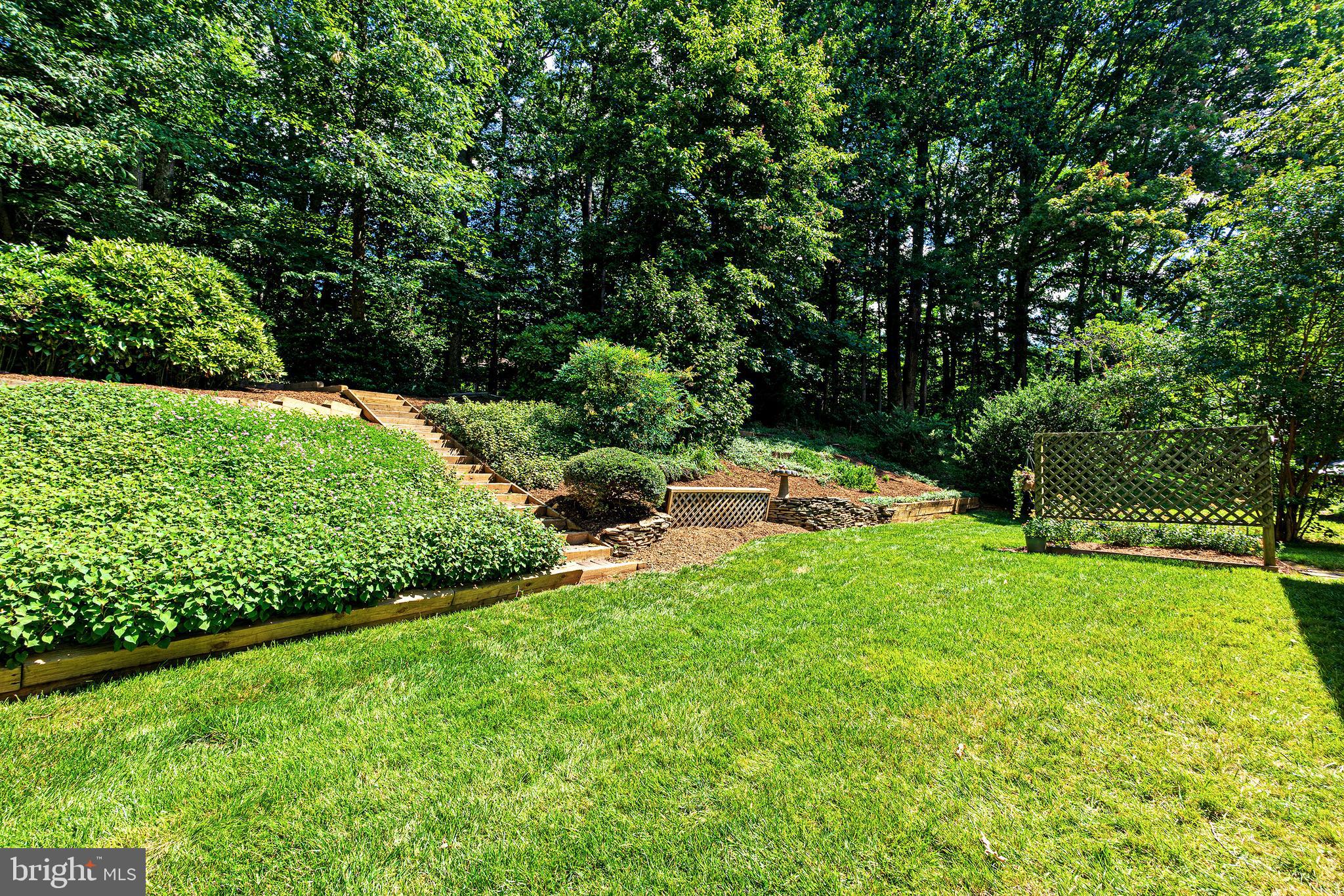 6818 Colburn Drive Annandale, VA 22003 - Photo 48 of 51