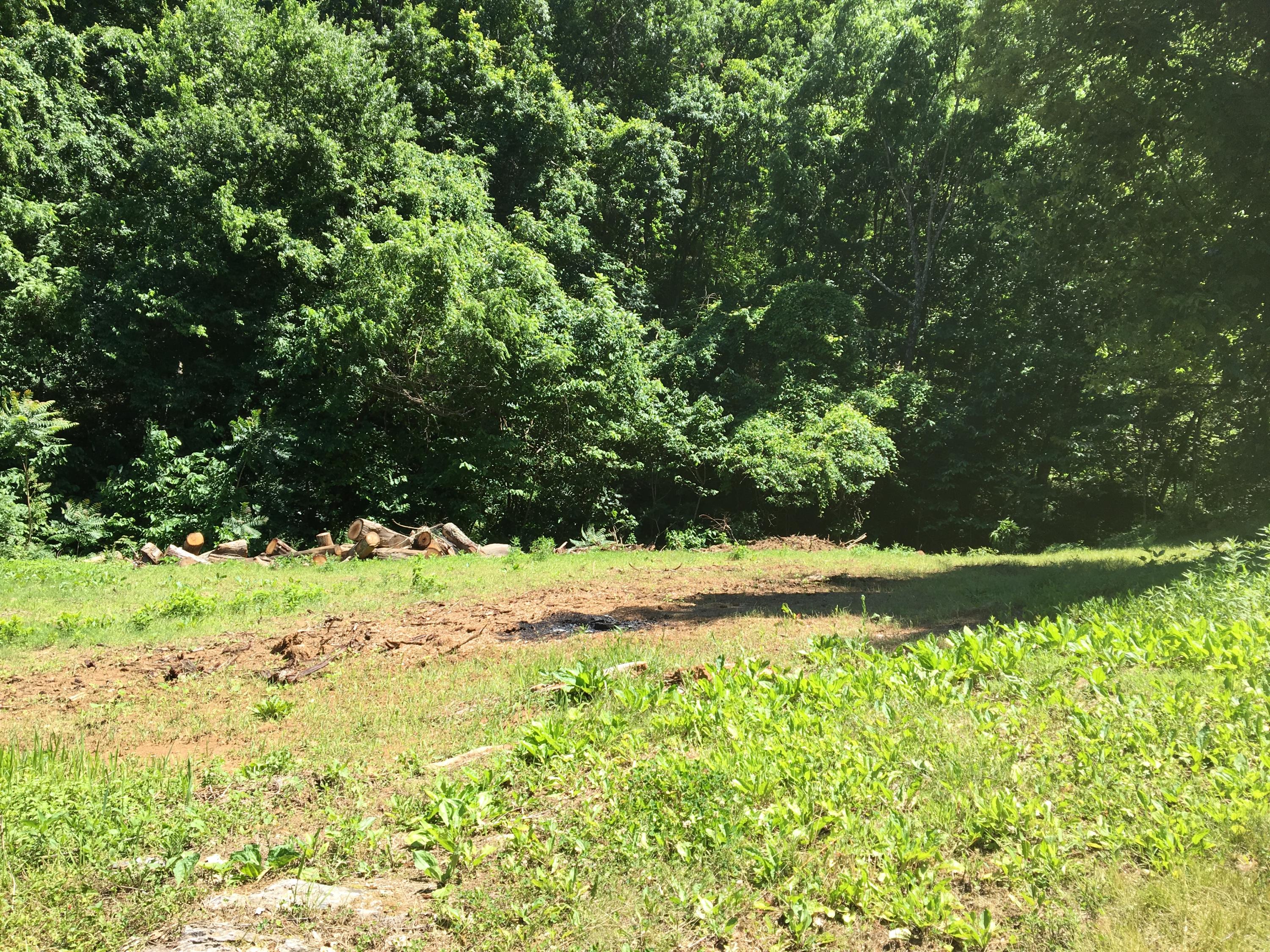 210 Floyd Atkins Road Bean Station, TN 37708 - Photo 20 of 29 2016-06-08 14.56.24