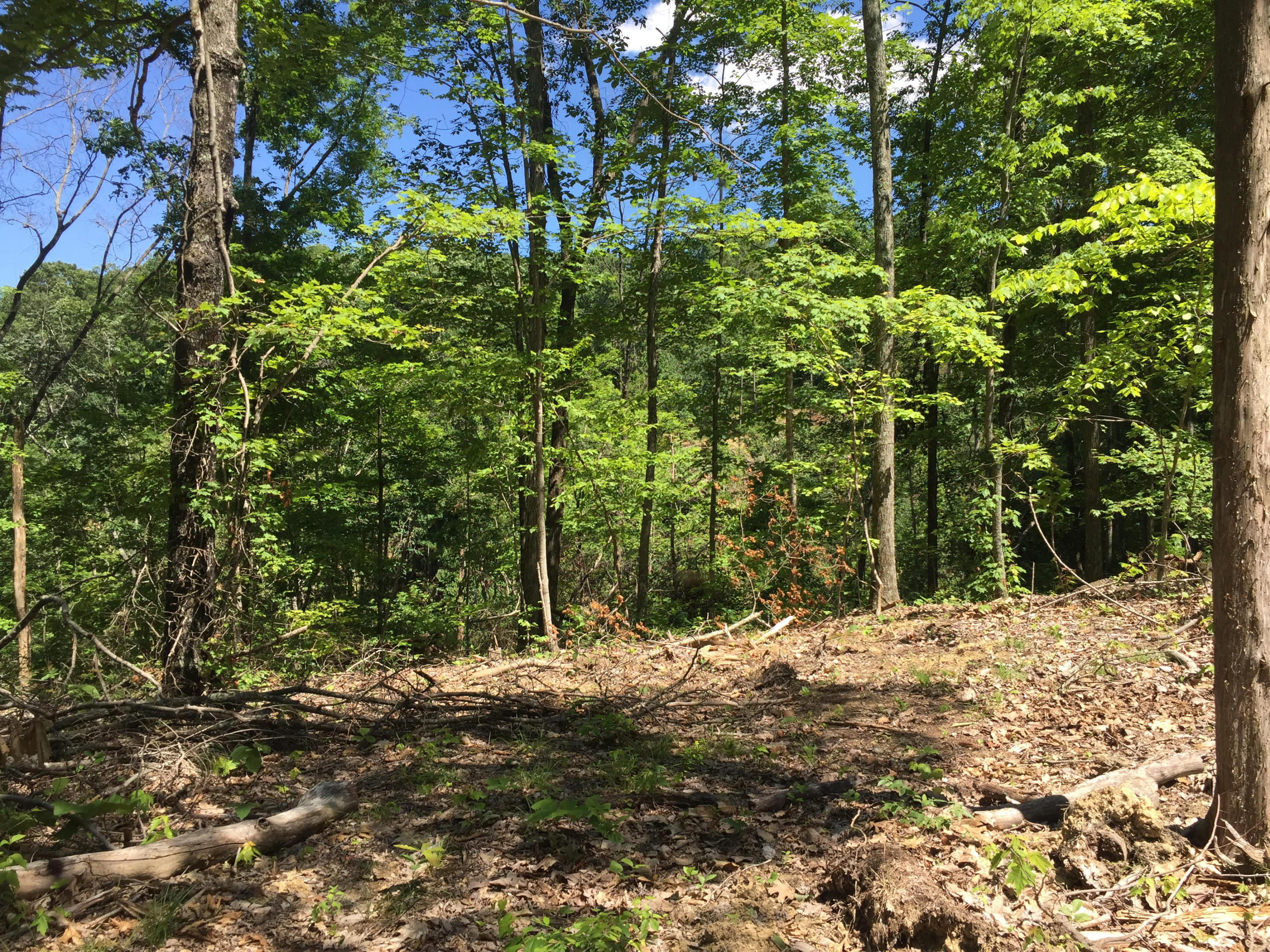 210 Floyd Atkins Road Bean Station, TN 37708 - Photo 27 of 29 unnamed (4)