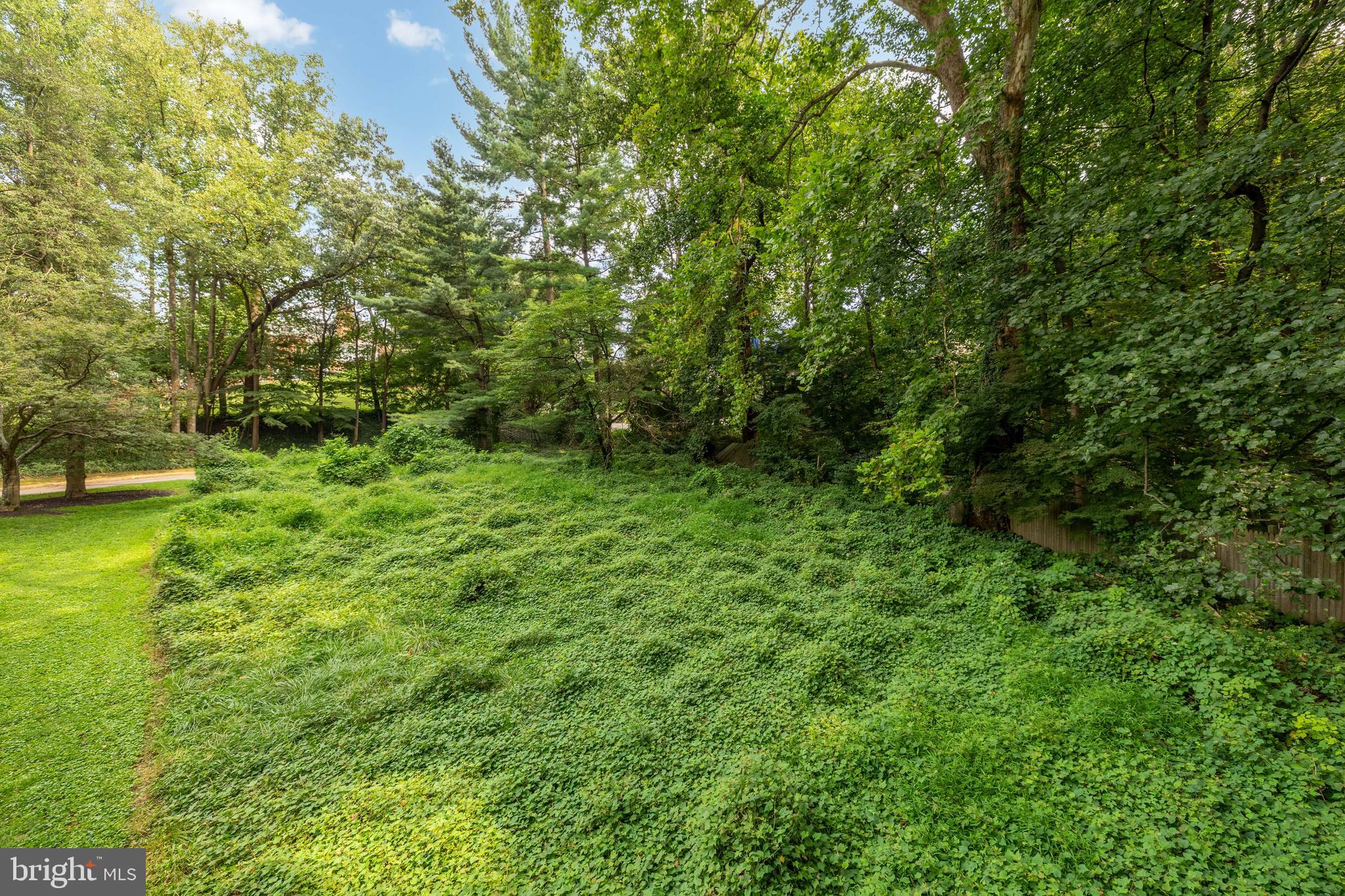 5906 17th Street Northwest Washington, DC 20011 - Photo 5 of 5 a view of yard with green space