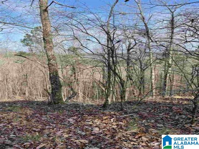 5830-4 South Shades Crest Road, Unit 4 Bessemer, AL 35022 - Photo 1 of 1