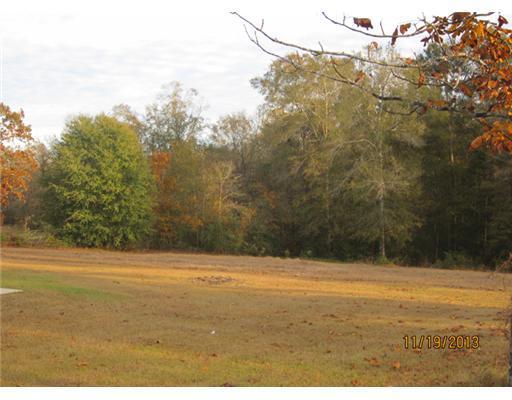 1189 Crenshaw Road Lucedale, MS 39452 - Photo 23 of 25 Additional Photo
