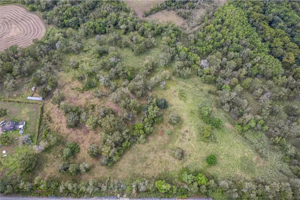 a view of a dry yard with green space
