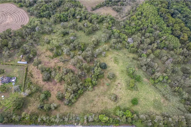 a view of a dry yard with green space