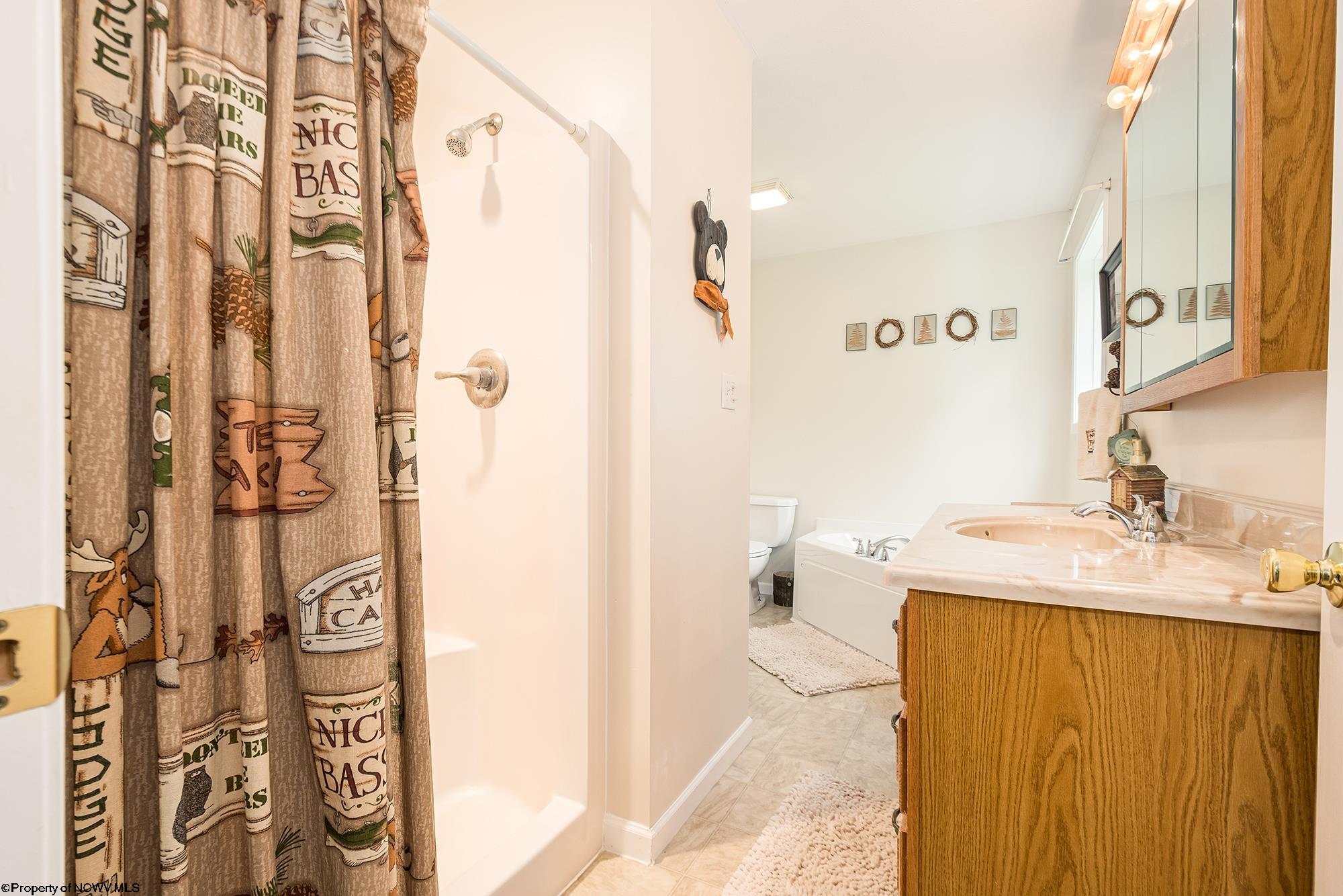 723 Burnside Camp Road Terra Alta, WV 26764 - Photo 20 of 37 Gallery Image 20