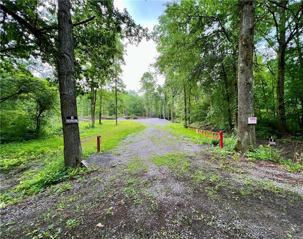 a view of a park