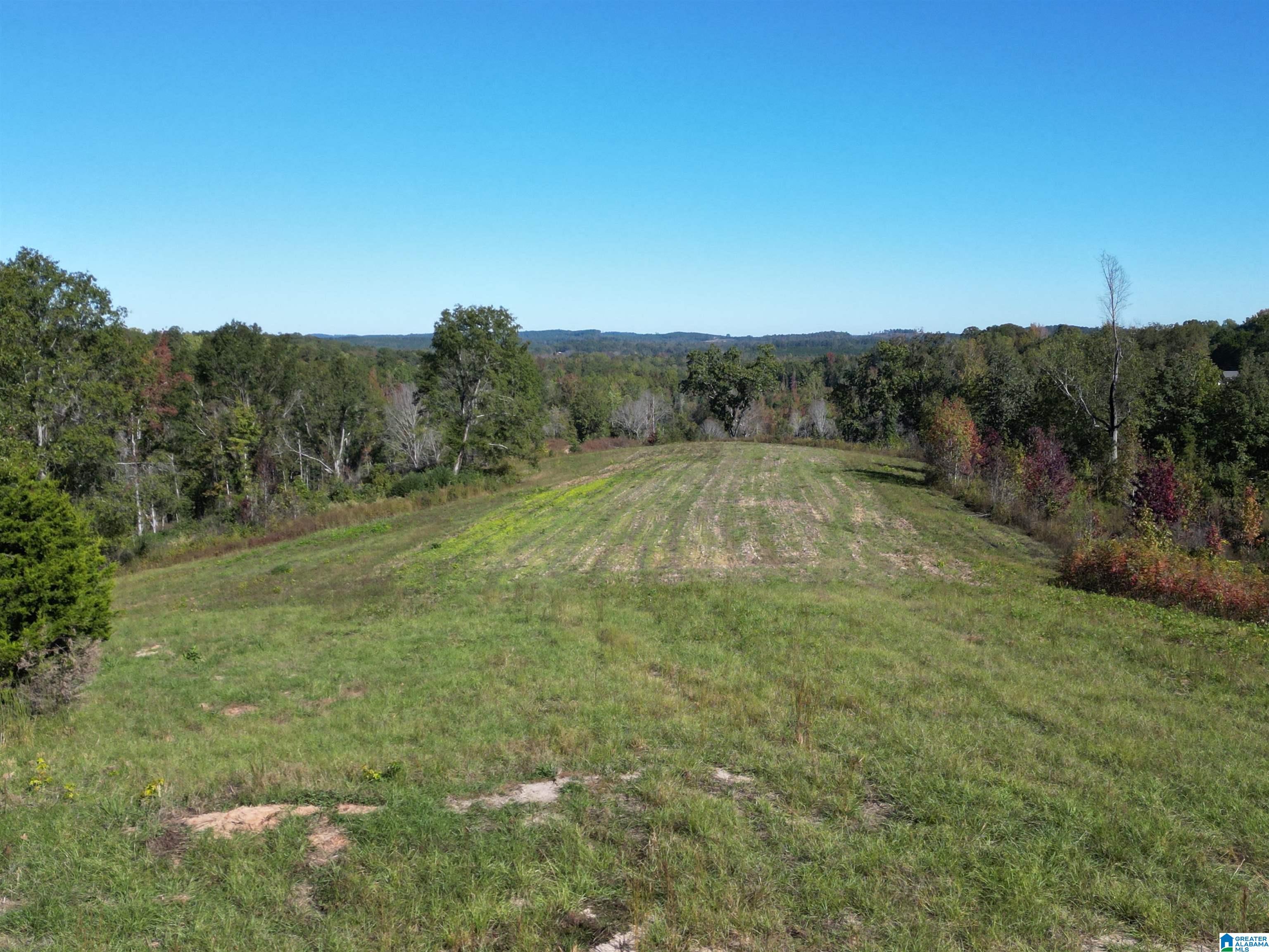 0 Payne Lk Road, Unit 1 Brent, AL 35034 - Photo 3 of 9