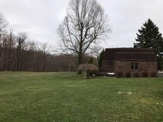 503 A Murphy Hill Road Industry, PA 15052 - Photo 5 of 24 Side Yard