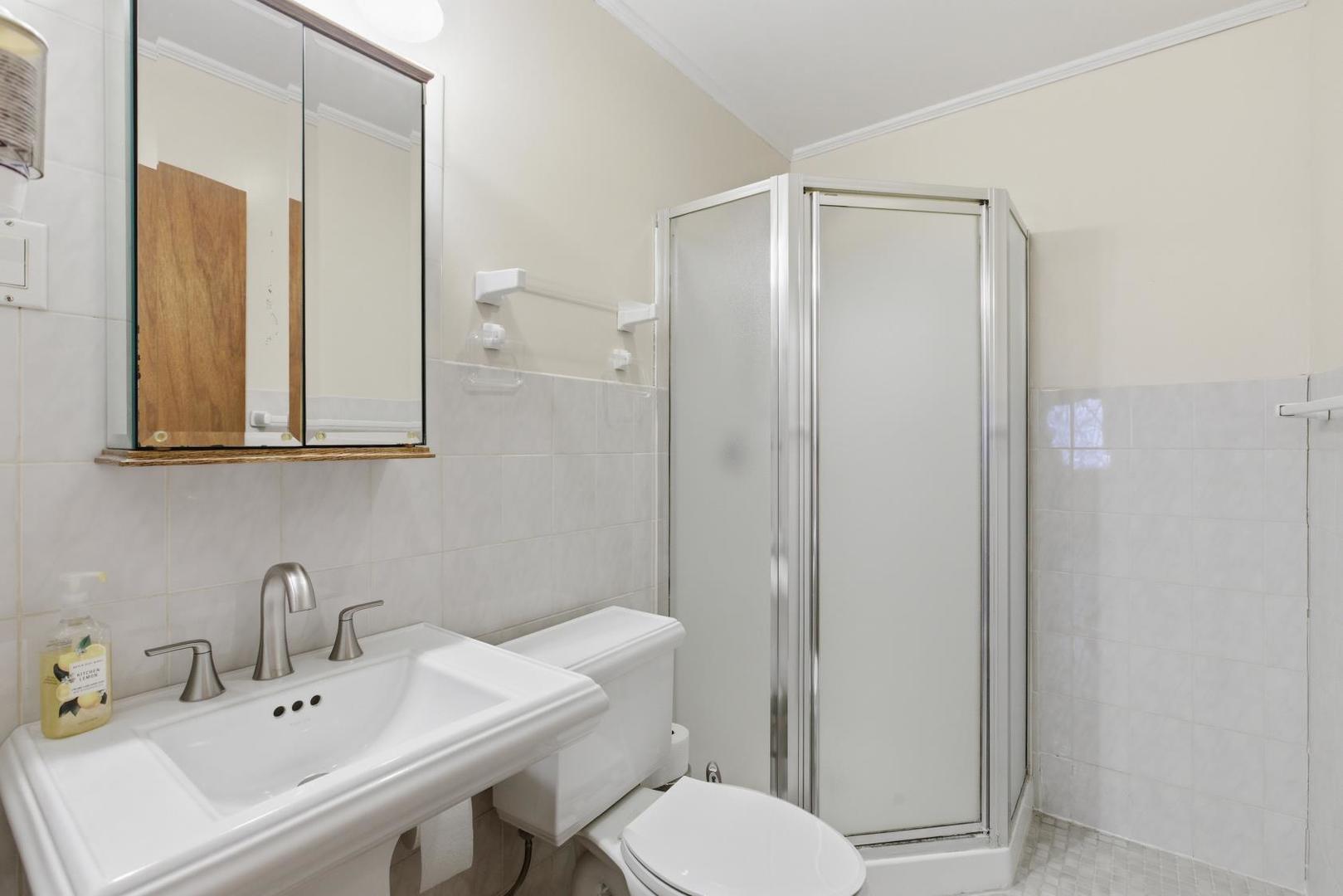 700 Ford Avenue Elgin, IL 60120 - Photo 14 of 20 a bathroom with a sink a toilet and shower