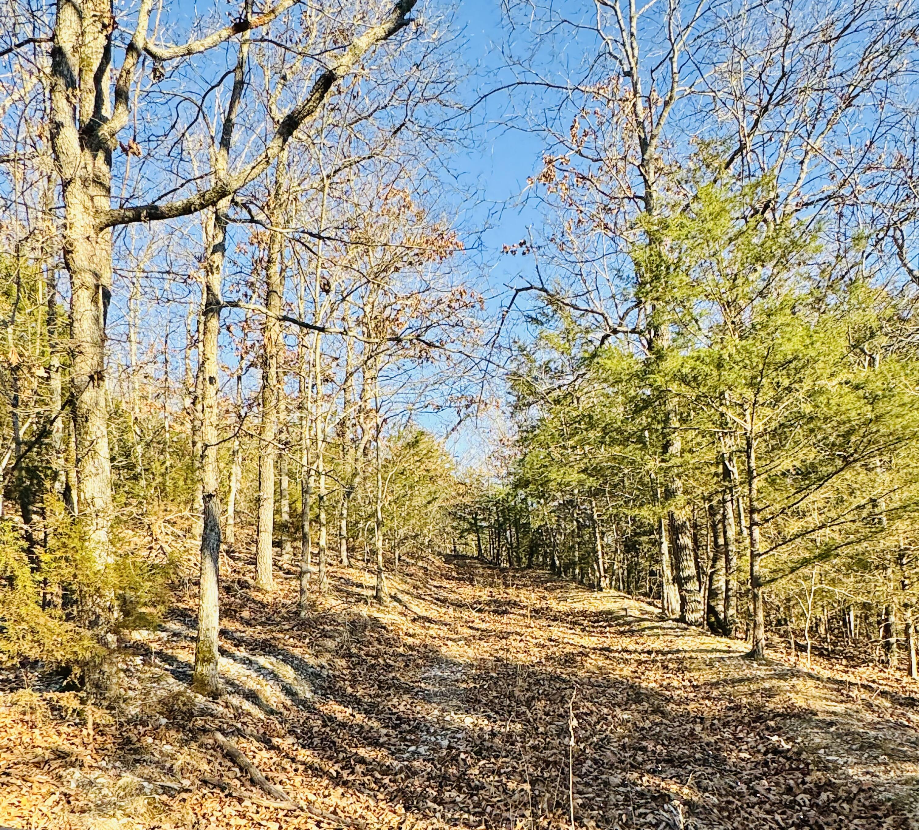 795 Anthony Road Pineville, MO 64856 - Photo 81 of 95 Fall
