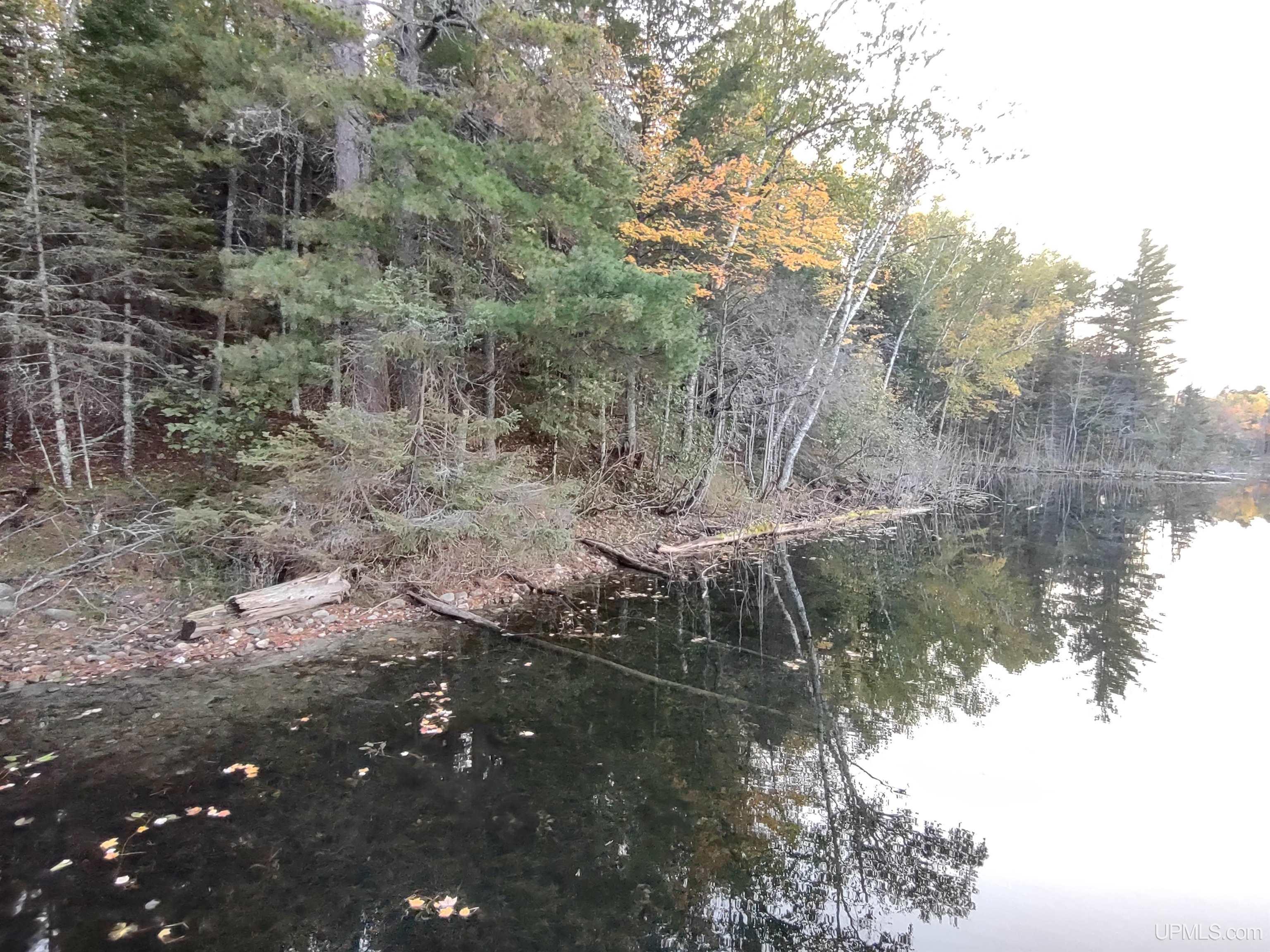 Tbd Long Lake Road Crystal Falls, MI 49920 - Photo 3 of 7 Gallery Image 3