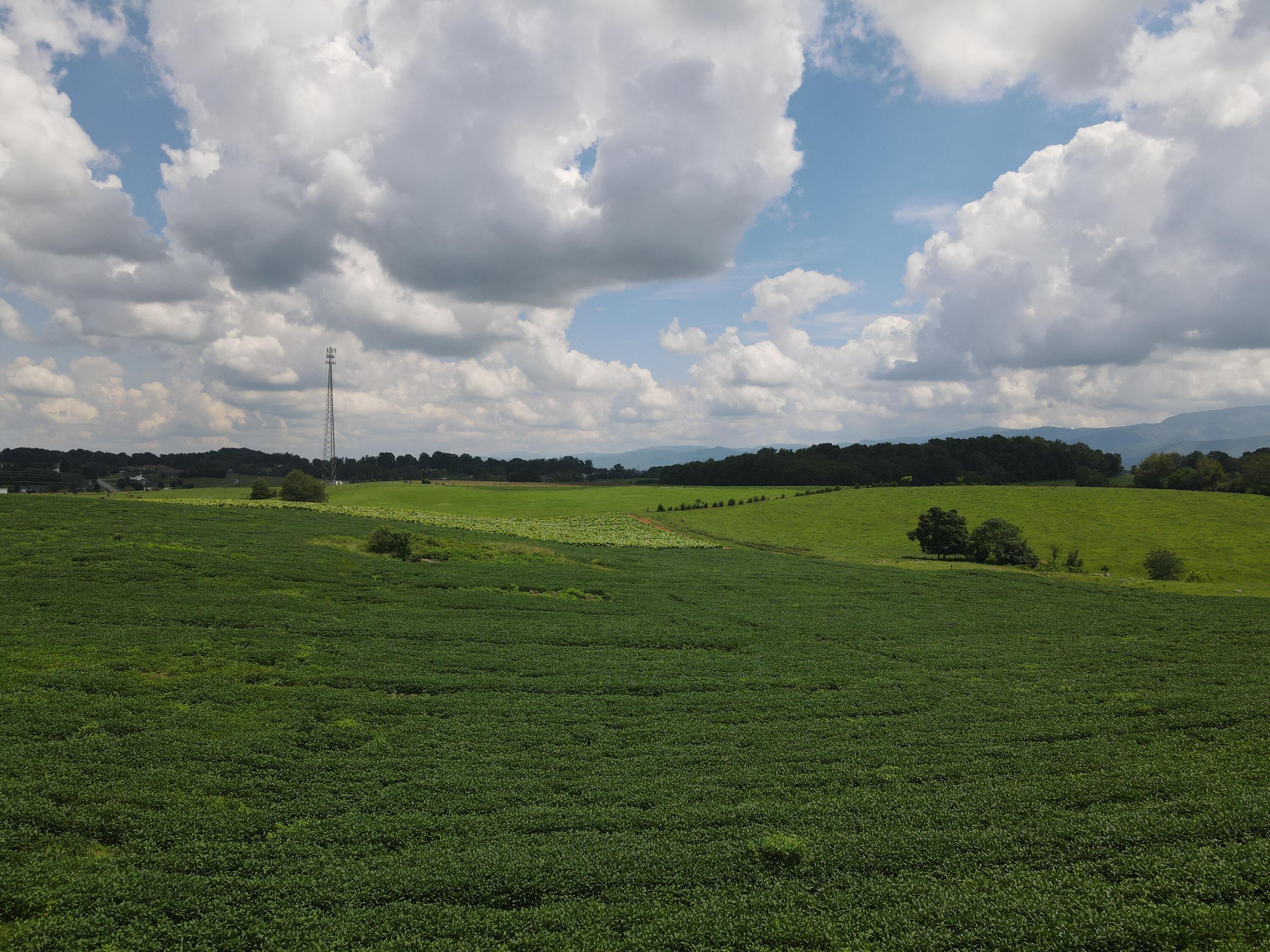 Tbd Browns Bridge Road, Unit 9 Greeneville, TN 37745 - Photo 1 of 6 DJI_0498