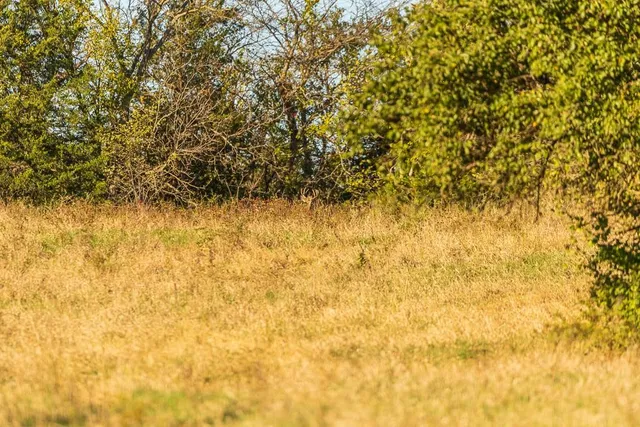 $1,190,000 | 2990 170th Street, Valley Falls, KS 66088