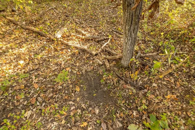 $1,130,500 | 2990 170th Street, Valley Falls, KS 66088