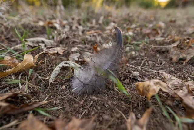 $1,190,000 | 2990 170th Street, Valley Falls, KS 66088