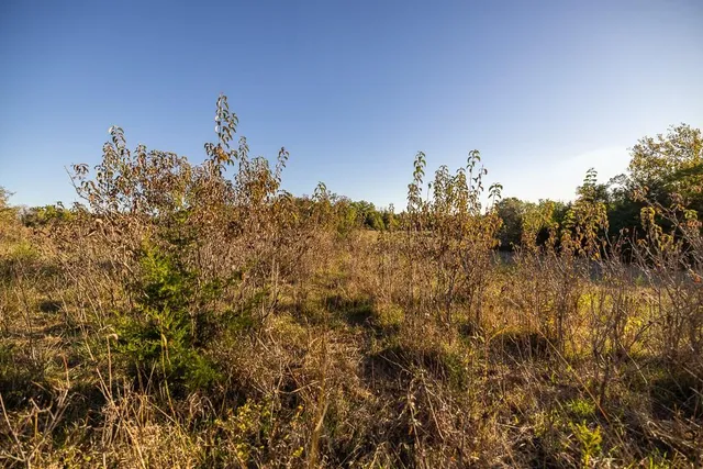 $1,190,000 | 2990 170th Street, Valley Falls, KS 66088