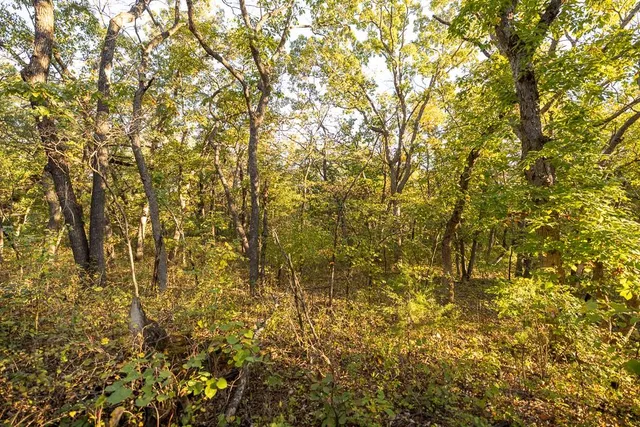 $1,190,000 | 2990 170th Street, Valley Falls, KS 66088