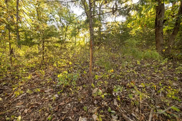 $1,190,000 | 2990 170th Street, Valley Falls, KS 66088