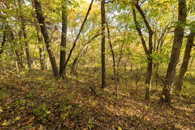 $1,190,000 | 2990 170th Street, Valley Falls, KS 66088