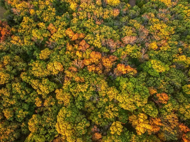 $1,190,000 | 2990 170th Street, Valley Falls, KS 66088