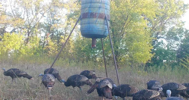 $1,130,500 | 2990 170th Street, Valley Falls, KS 66088