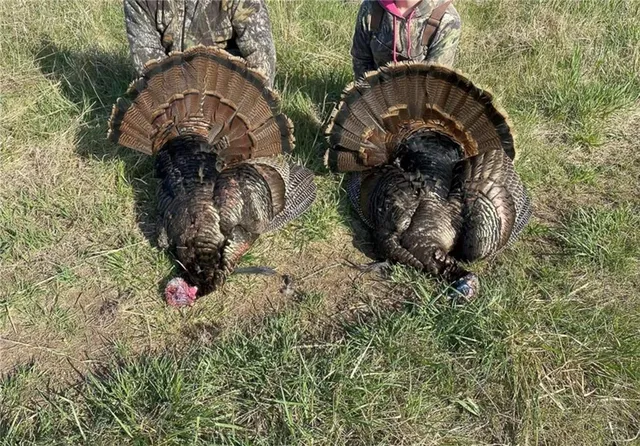 $1,190,000 | 2990 170th Street, Valley Falls, KS 66088