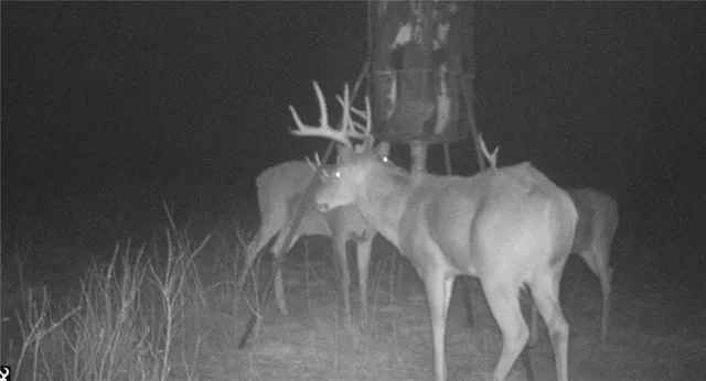 $1,190,000 | 2990 170th Street, Valley Falls, KS 66088