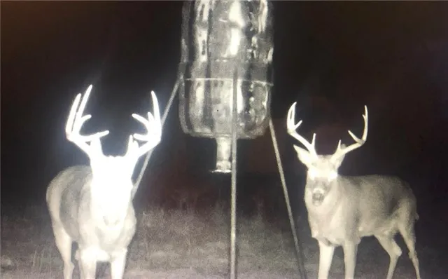 $1,190,000 | 2990 170th Street, Valley Falls, KS 66088