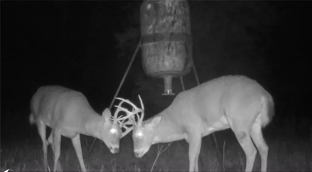 $1,190,000 | 2990 170th Street, Valley Falls, KS 66088