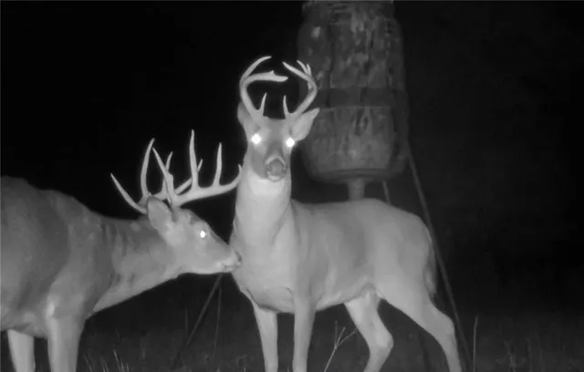 $1,190,000 | 2990 170th Street, Valley Falls, KS 66088