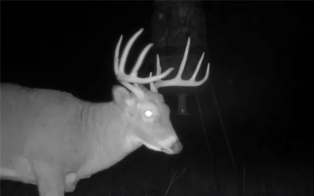 $1,190,000 | 2990 170th Street, Valley Falls, KS 66088