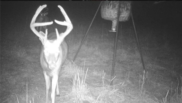 $1,190,000 | 2990 170th Street, Valley Falls, KS 66088