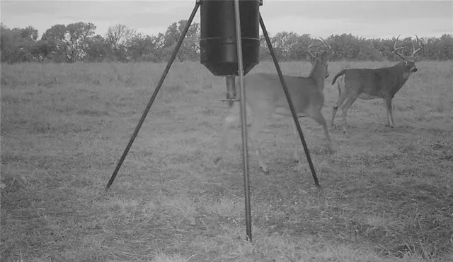 $1,190,000 | 2990 170th Street, Valley Falls, KS 66088