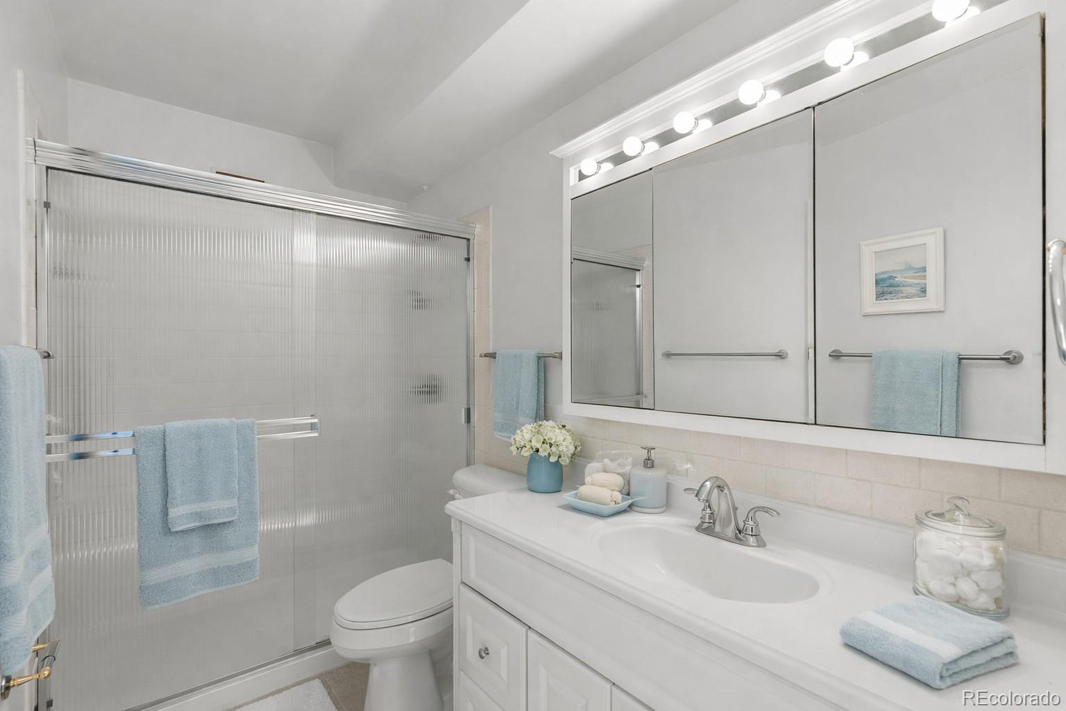 750 South Clinton Street, Unit 2B Denver, CO 80247 - Photo 6 of 43 a bathroom with a sink toilet and shower