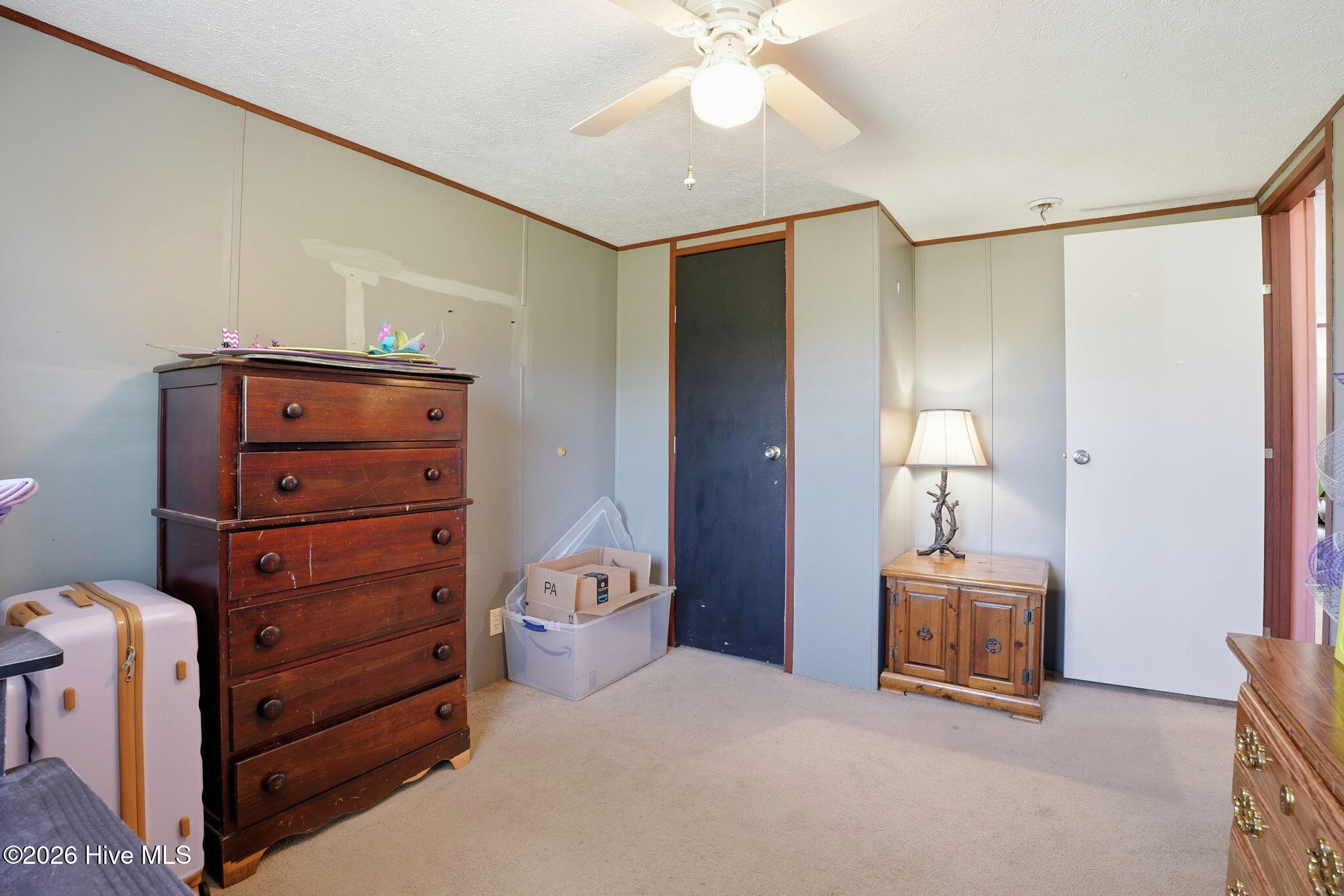 7015 St James Church Road Stantonsburg, NC 27883 - Photo 30 of 40