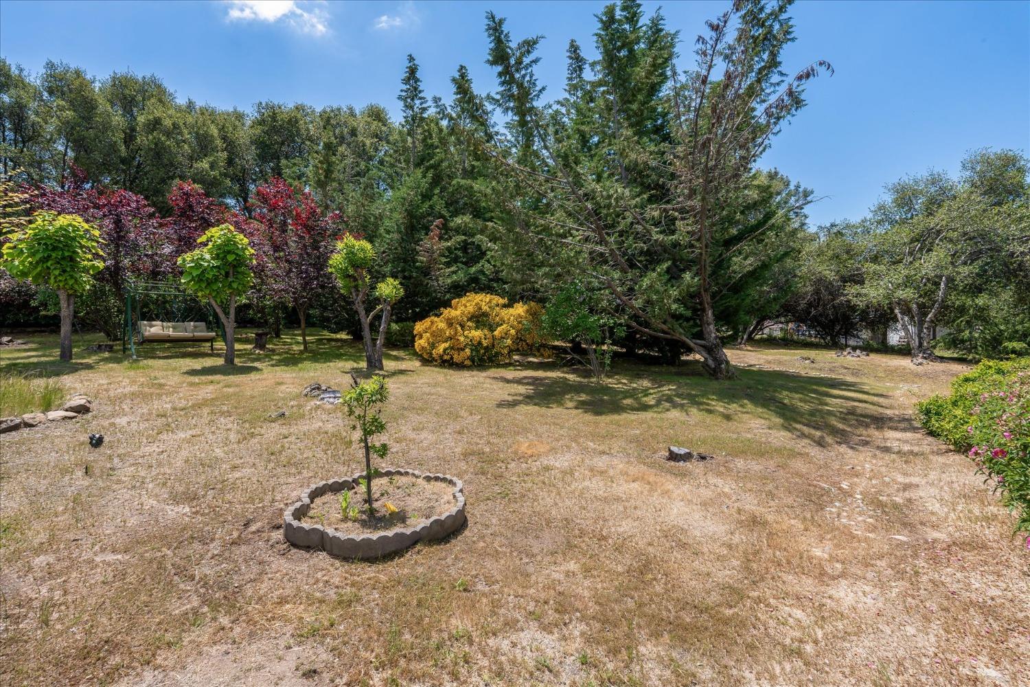 31686 Apache Road Coarsegold, CA 93614 - Photo 41 of 44 Gallery Image 41