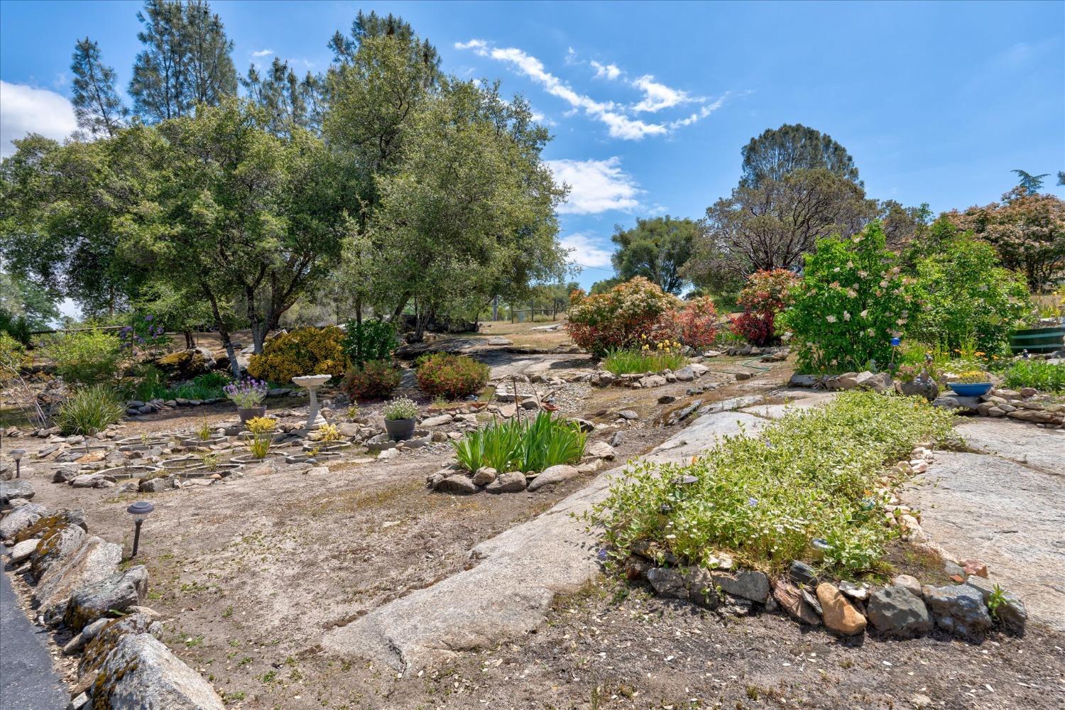 31686 Apache Road Coarsegold, CA 93614 - Photo 6 of 44 Gallery Image 6
