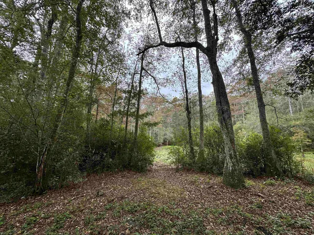 $229,900 | 19 Twin Lakes Drive, Crawfordville, FL 32327