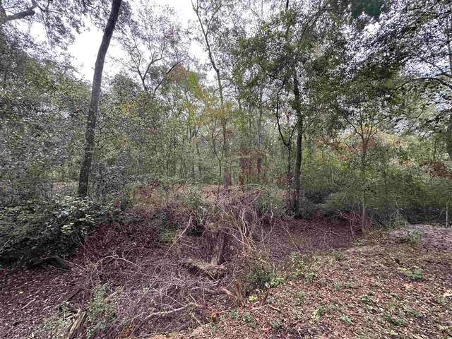 $229,900 | 19 Twin Lakes Drive, Crawfordville, FL 32327