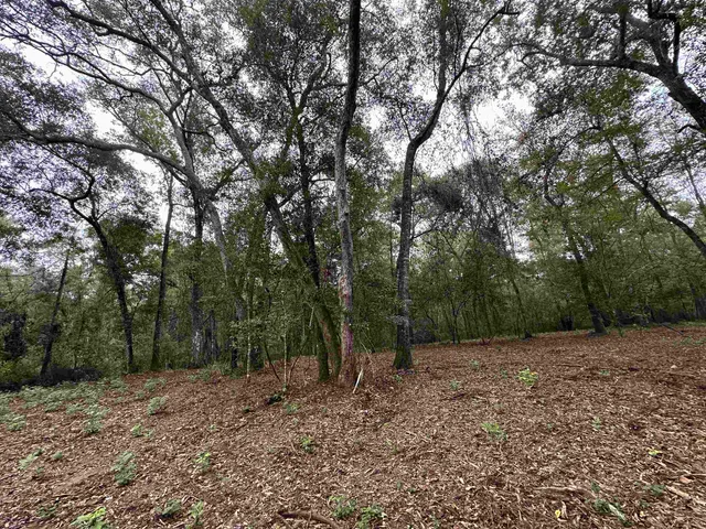 $229,900 | 19 Twin Lakes Drive, Crawfordville, FL 32327