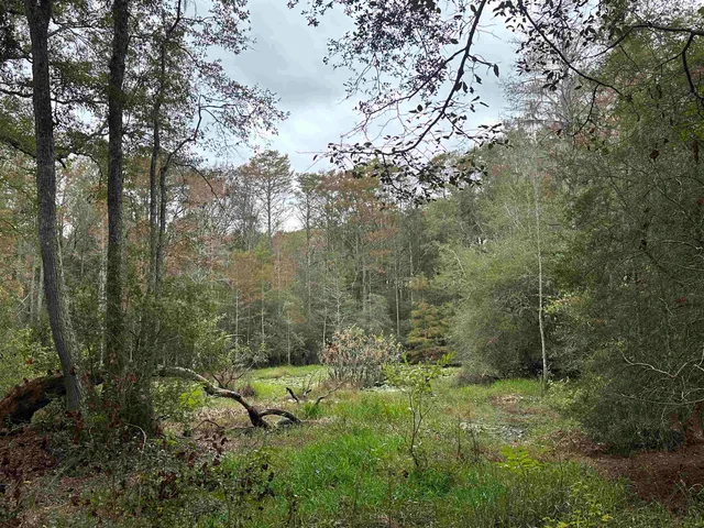 $229,900 | 19 Twin Lakes Drive, Crawfordville, FL 32327