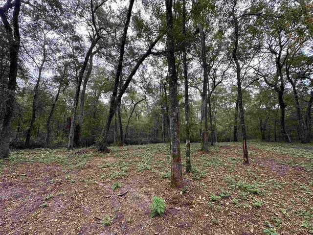 $229,900 | 19 Twin Lakes Drive, Crawfordville, FL 32327