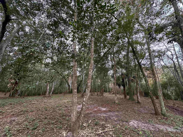 $229,900 | 19 Twin Lakes Drive, Crawfordville, FL 32327