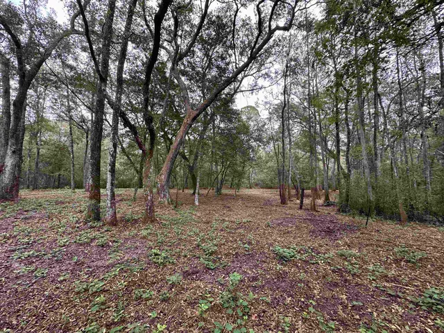 $229,900 | 19 Twin Lakes Drive, Crawfordville, FL 32327