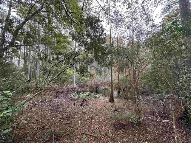 $229,900 | 19 Twin Lakes Drive, Crawfordville, FL 32327