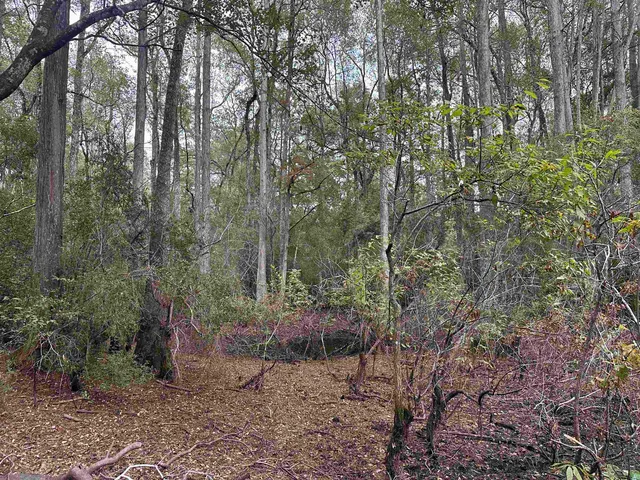 $229,900 | 19 Twin Lakes Drive, Crawfordville, FL 32327