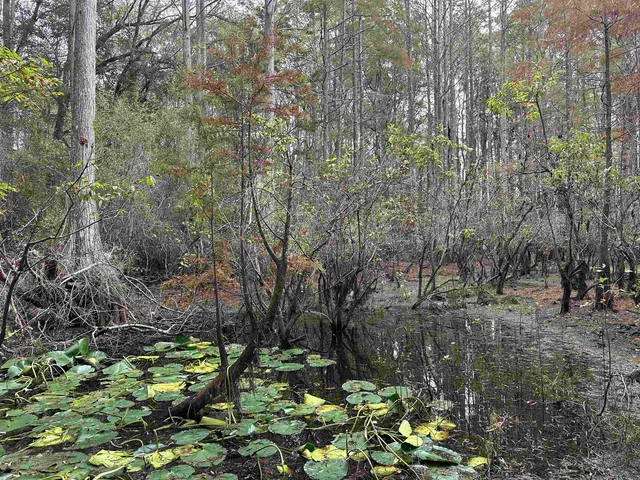 $229,900 | 19 Twin Lakes Drive, Crawfordville, FL 32327