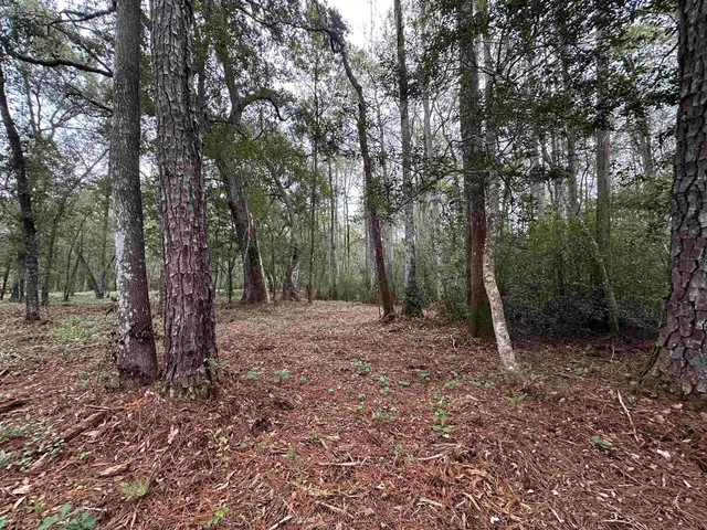 $229,900 | 19 Twin Lakes Drive, Crawfordville, FL 32327