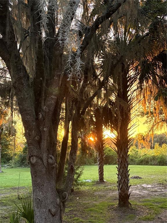 5435 Northeast 153rd Place Road Citra, FL 32113 - Photo 41 of 43 Gallery Image 41