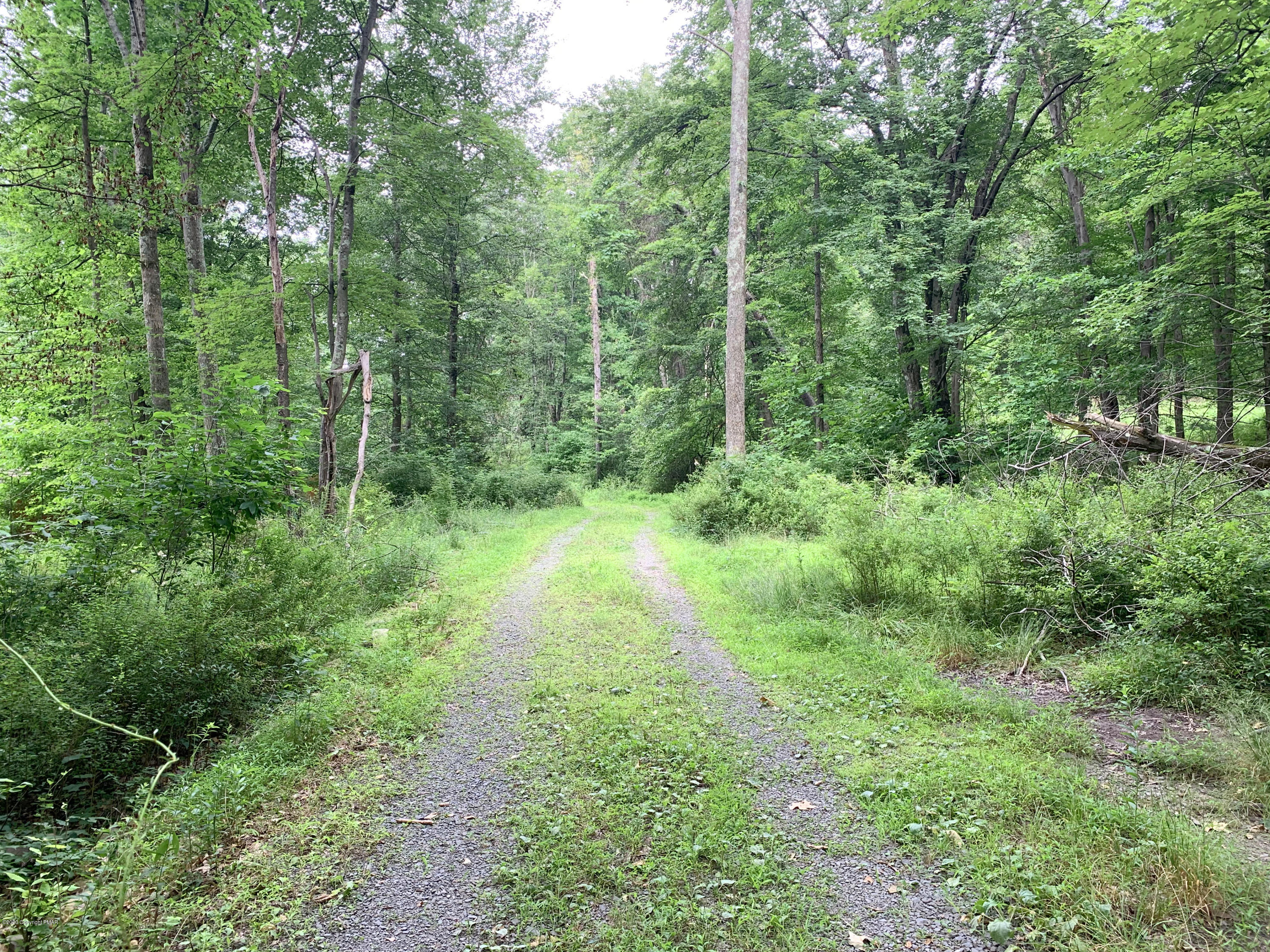 200 Williams Road Cresco, PA 18326 - Photo 2 of 21 a view of a lush green forest